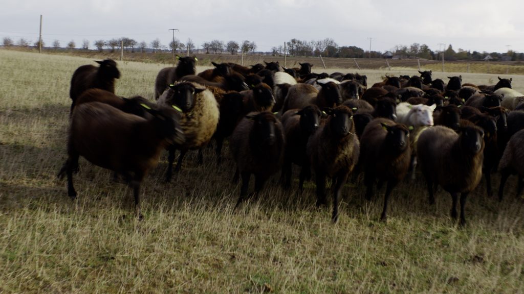Ganzheitliche Landwirtschaft